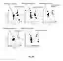 Fig. 12 - Methods of identifying and quantifying sphingolipids