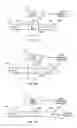 Fig. 14 - System for improved tissue handling and in line analysis of the tissue