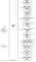 Fig. 03 - Method for clinical examinations and cleaning method therefor