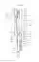 Fig. 13 - Head device for mounting dispensing tip thereon, and movement device using same