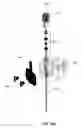 Fig. 20 - Sampling probes, systems, apparatuses, and methods