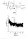 Fig. 03 - Robust particle velocity measurement