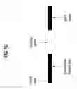 Fig. 03 - Parallel concurrent test system and method