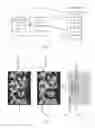 Fig. 07 - Method and system for quickly identifying circuit components in an emission image