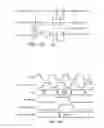 Fig. 125 - Adapter circuitry with global bypass register, legacy test data, multiplexer
