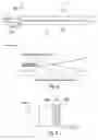 Fig. 05 - Illuminating device with multiple optical guiding bodies having different luminance distributions