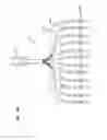 Fig. 31 - Fiber optic cassette