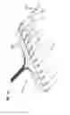 Fig. 43 - Fiber optic cassette