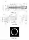 Fig. 09 - Light emitting diode digital micromirror device illuminator