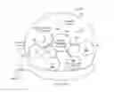 Fig. 01 - SACRIFICIAL MOLDING PROCESS FOR AN ACCOMMODATING CONTACT LENS