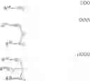 Fig. 28 - Chemically amplified resist material and resist pattern-forming method