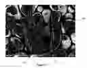Fig. 02 - TONER FORMULATION USING CRYSTALLINE POLYESTER ENCAPSULATED WITH A STYRENE ACRYLATE LATEX FORMULATION AND METHOD OF PREPARING THE SAME