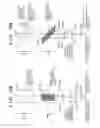 Fig. 13 - Optical sensor and image forming apparatus