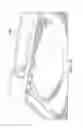 Fig. 16 - Connector assembly for an electronic device