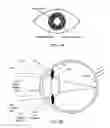 Fig. 03 - Eye tracking and user reaction detection