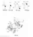 Fig. 03 - Computer-implemented method of displaying an assembly of digitally modeled objects revealing hidden objects