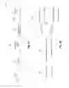 Fig. 05 - Multi-sized data types for managed code