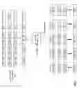 Fig. 10 - Dispersed storage encoded data slice rebuild