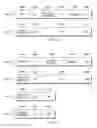 Fig. 07 - Prefetch protocol for transactional memory
