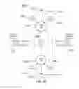 Fig. 15 - TWO ADDRESS TRANSLATIONS FROM A SINGLE TABLE LOOK-ASSIDE BUFFER READ