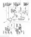 Fig. 02 - E-services translation utilizing machine translation and translation memory