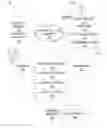 Fig. 01 - Search and notification in response to a request