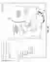 Fig. 07 - Semi-structured spatial data conversion