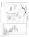 Fig. 12 - Semi-structured spatial data conversion
