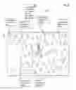 Fig. 24 - USING MOTE-ASSOCIATED INDEXES