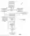 Fig. 10 - SPACE-TIME-NODE ENGINE SIGNAL STRUCTURE