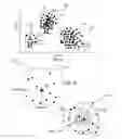 Fig. 11 - SPACE-TIME-NODE ENGINE SIGNAL STRUCTURE