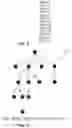 Fig. 04 - Method and/or system for transforming between trees and strings