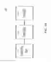 Fig. 03 - System and methods for automated detection of input and output validation and resource management vulnerability