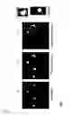 Fig. 07 - Analyzing digital holographic microscopy data for hematology applications