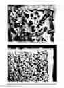 Fig. 05 - Method and apparatus for authentication of a 3D structure