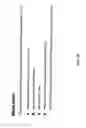 Fig. 12 - WEB-BASED EMPLOYMENT APPLICATION SYSTEM AND METHOD USING BIODATA