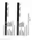 Fig. 19 - WEB-BASED EMPLOYMENT APPLICATION SYSTEM AND METHOD USING BIODATA