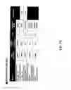 Fig. 31 - WEB-BASED EMPLOYMENT APPLICATION SYSTEM AND METHOD USING BIODATA