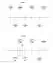 Fig. 07 - TIMELINE RECONSTRUCTION
