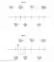 Fig. 08 - TIMELINE RECONSTRUCTION