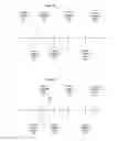 Fig. 09 - TIMELINE RECONSTRUCTION