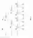 Fig. 07 - SYSTEMS AND METHODS FOR NON-LINEAR PROCESSING OF IMAGE FRAMES