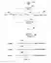 Fig. 10 - SYSTEMS AND METHODS FOR NON-LINEAR PROCESSING OF IMAGE FRAMES