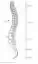 Fig. 01 - METHODS, SYSTEMS AND DEVICES FOR SPINAL SURGERY POSITION OPTIMIZATION
