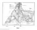 Fig. 02 - Method and apparatus for direct detection, location, analysis, identification, and reporting of vegetation clearance violations