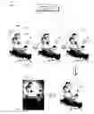 Fig. 01 - Non-destructive automatic face-aware vignettes