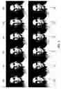 Fig. 06 - Control system for virtual characters