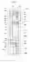 Fig. 06 - Organic el display device and method of driving organic el display device