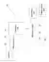 Fig. 02 - Automatic generation of video from structured content
