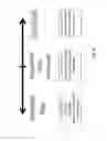 Fig. 09 - Automatic generation of video from structured content